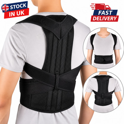 Back support belt adjustable - back,